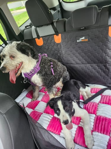 Customer photo review of RuffRover 2.0™ - Hard Bottom Back Seat Extender + (FREE Dog Bed)