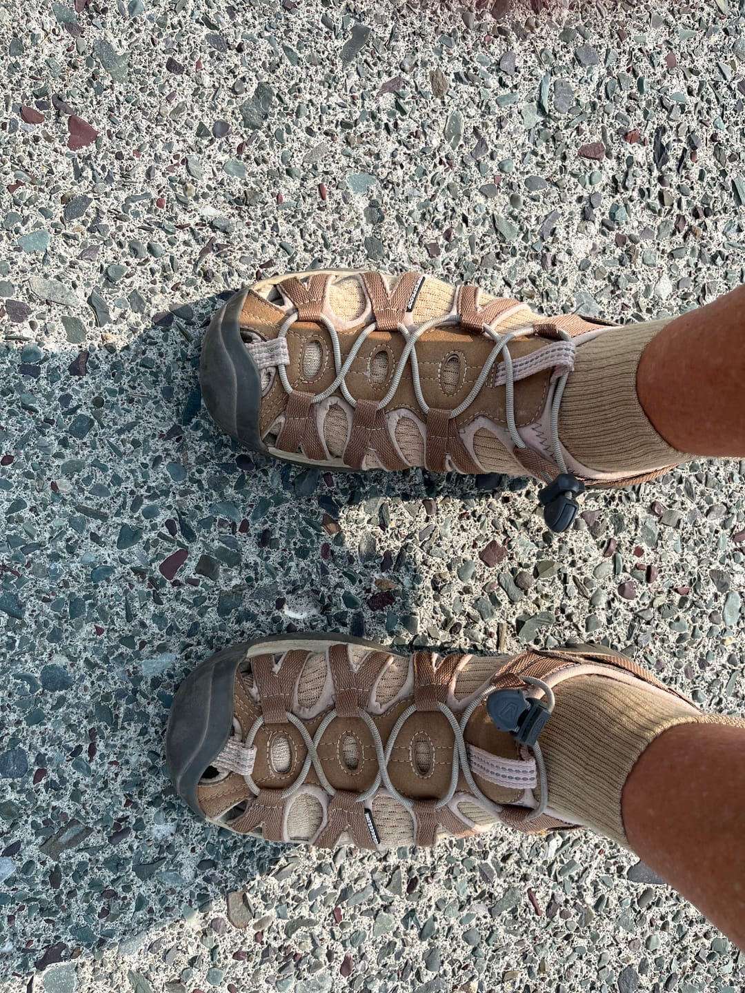 Customer photo review of Solid Essentials Ankle Compression Socks 5-Pack Bundle