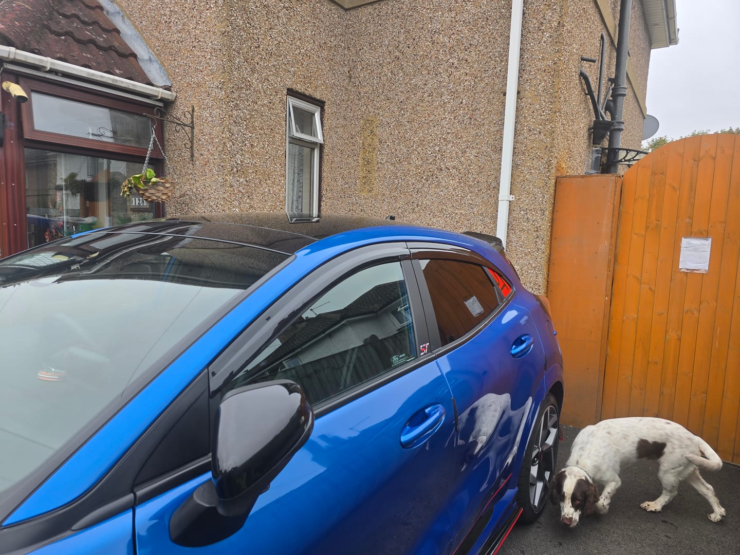 Customer photo review of Auto Clover Wind Deflectors Set for Ford Puma 2019+ (6 pieces)