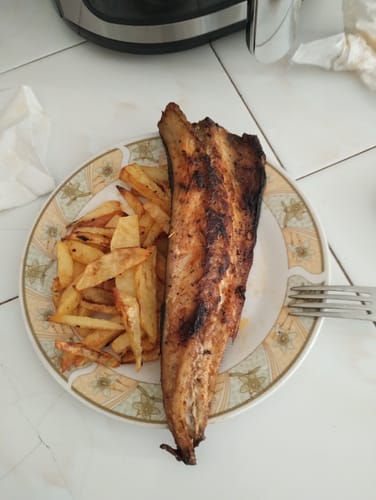 Customer photo review of Air Fryer Novio Grill & Fry