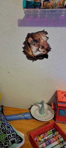 Customer photo review of Bedtime Tales Mouse Hole Decal
