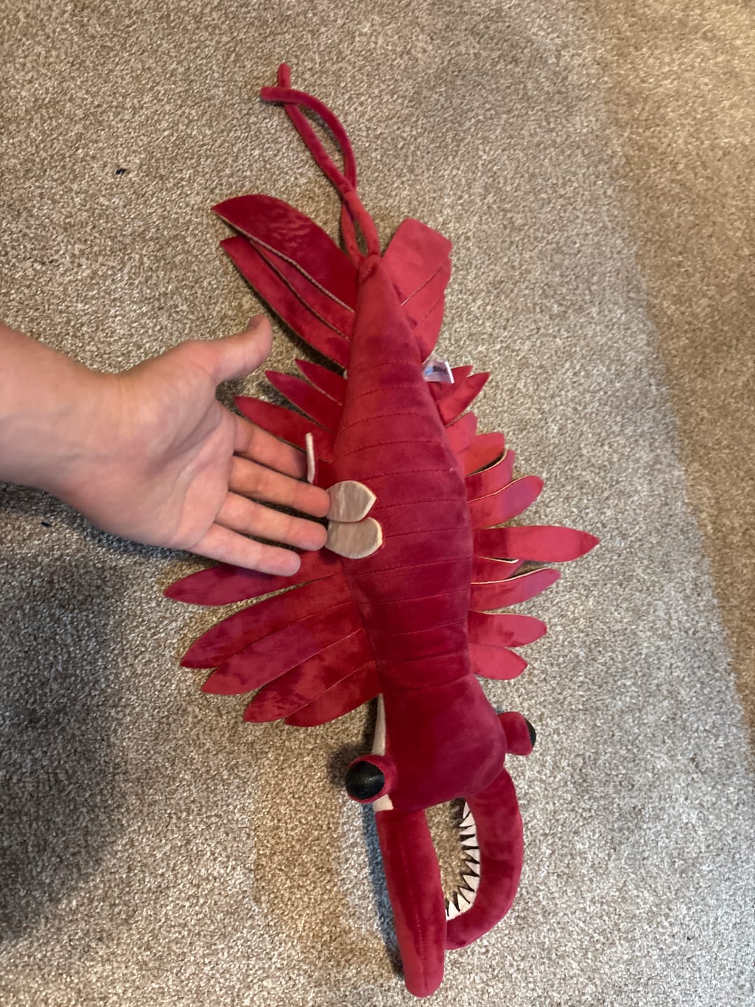Customer photo review of Anomalocaris Arthropod Soft Stuffed Plush Toy
