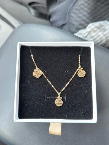 Customer photo review of Devil Fruit Necklace