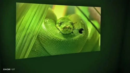 Customer photo review of Mini Portable Projector - HD | Wifi | Bluetooth