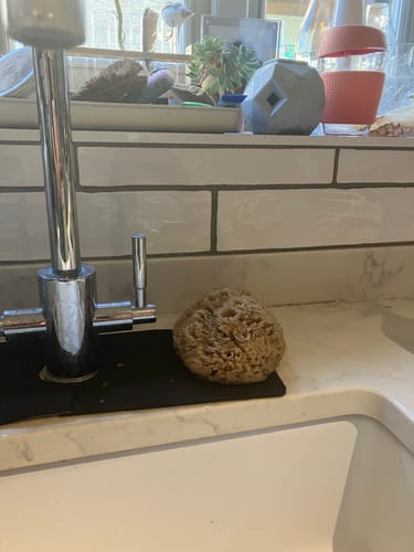 Customer photo review of Natural Sea Sponges for Cleaning