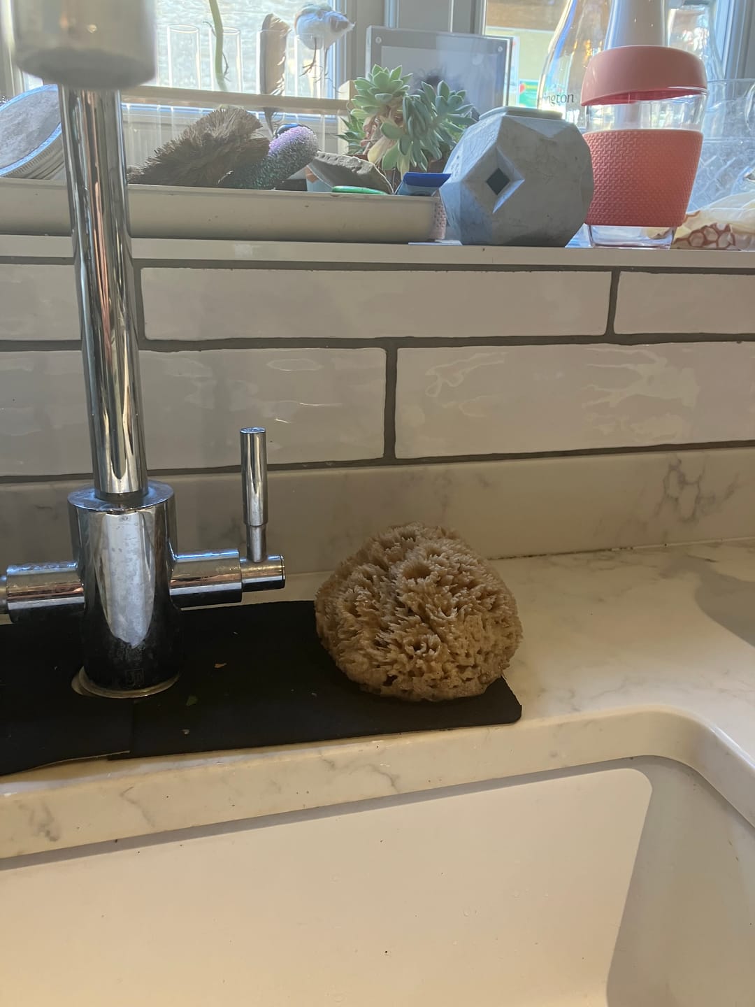 Customer photo review of Natural Sea Sponges for Cleaning