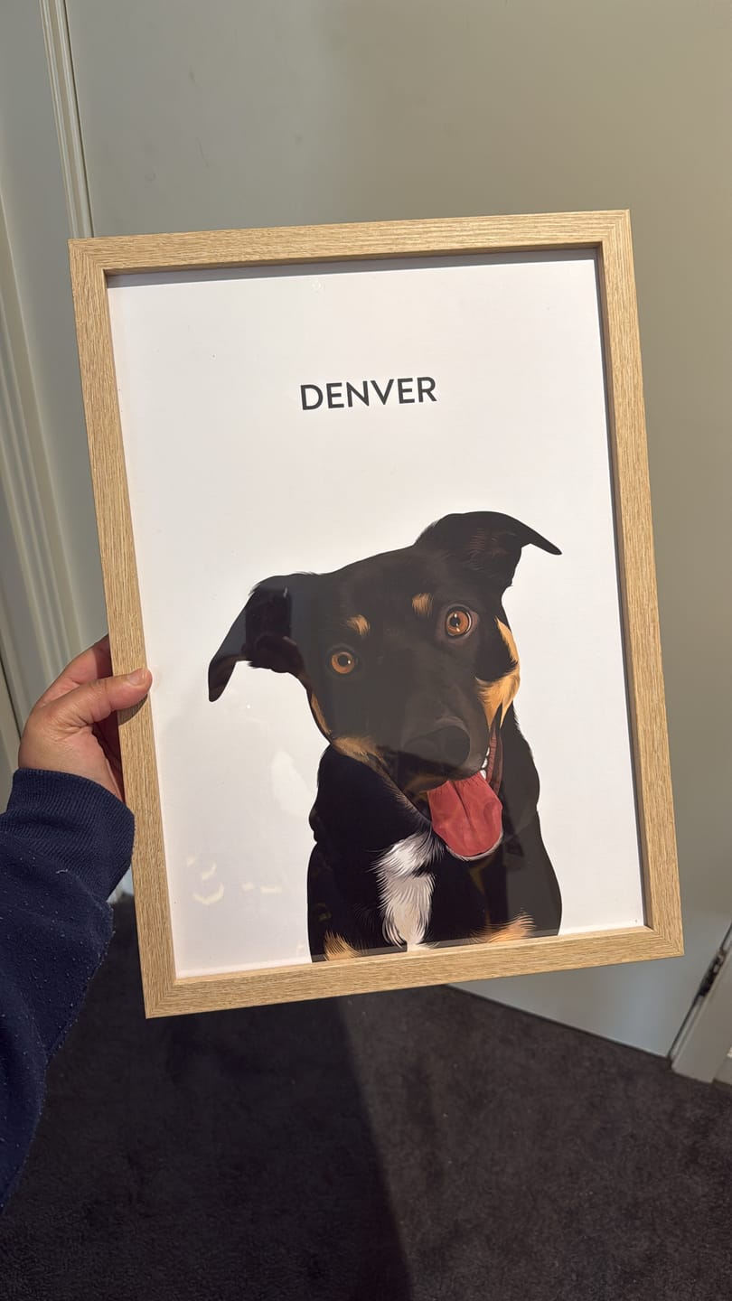 Customer photo review of 1 Pet