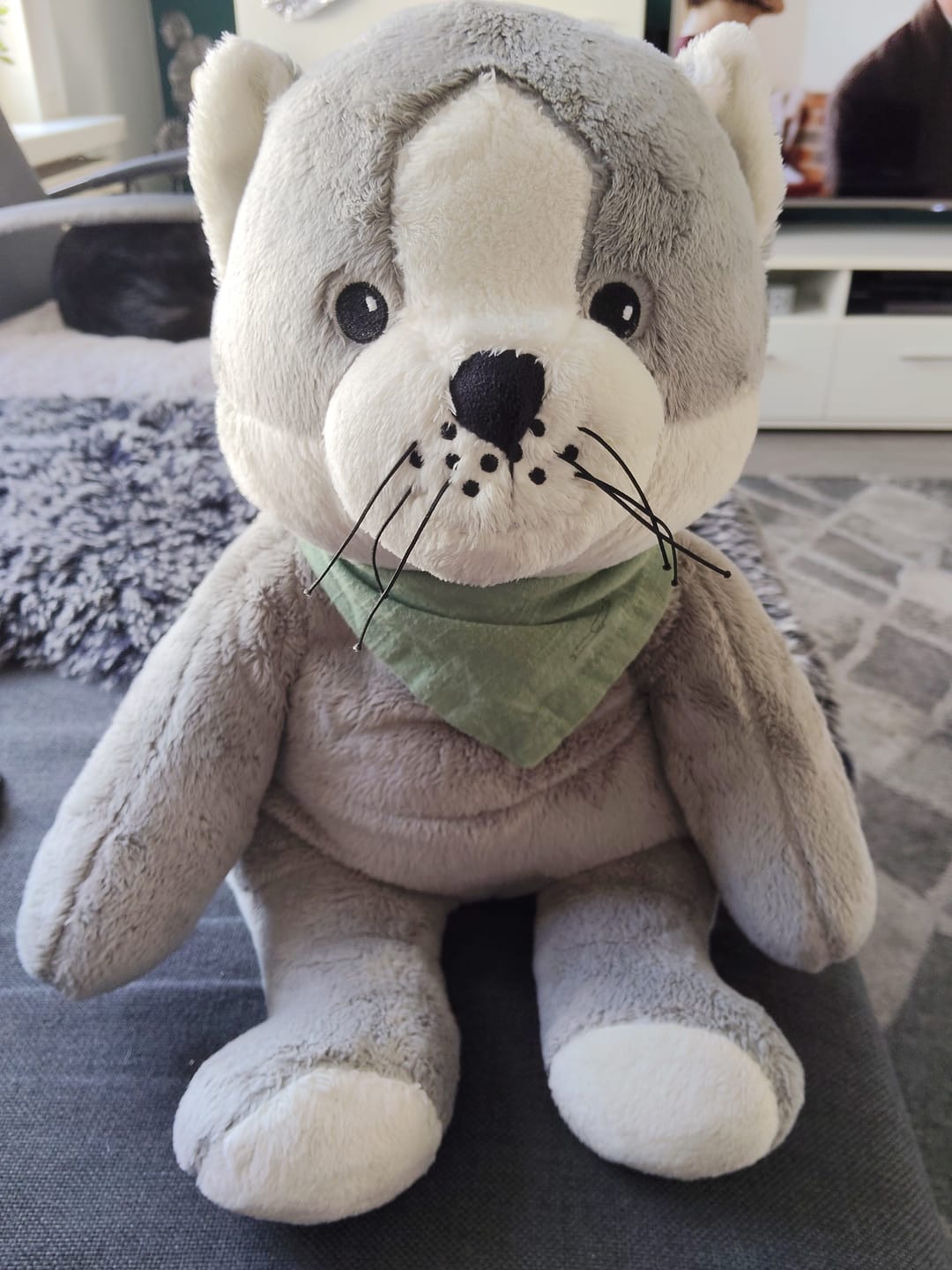 Customer photo review of Mini & Grote kat - Je bespaart €20