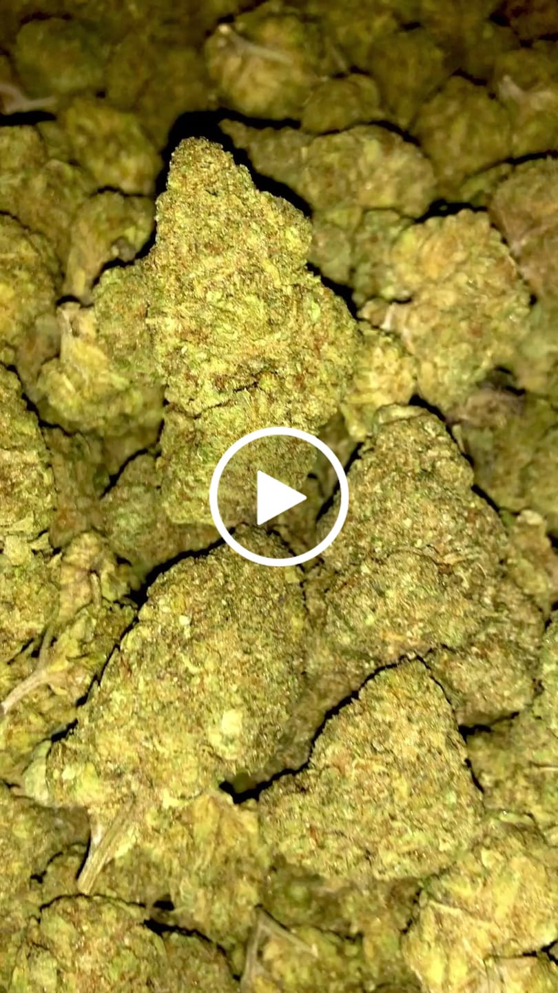 Customer video review of Indoor Micros