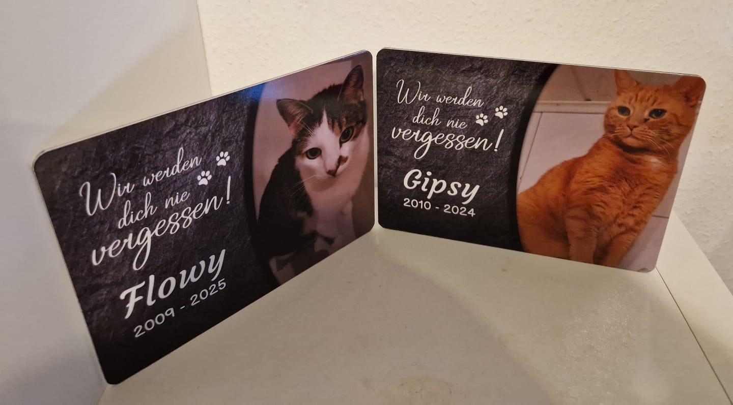 Customer photo review of Kaninchen Gedenktafel mit Foto & Spruch (UV- & Wetterfest)