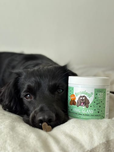 Customer photo review of Anal Gland Supplement Chews