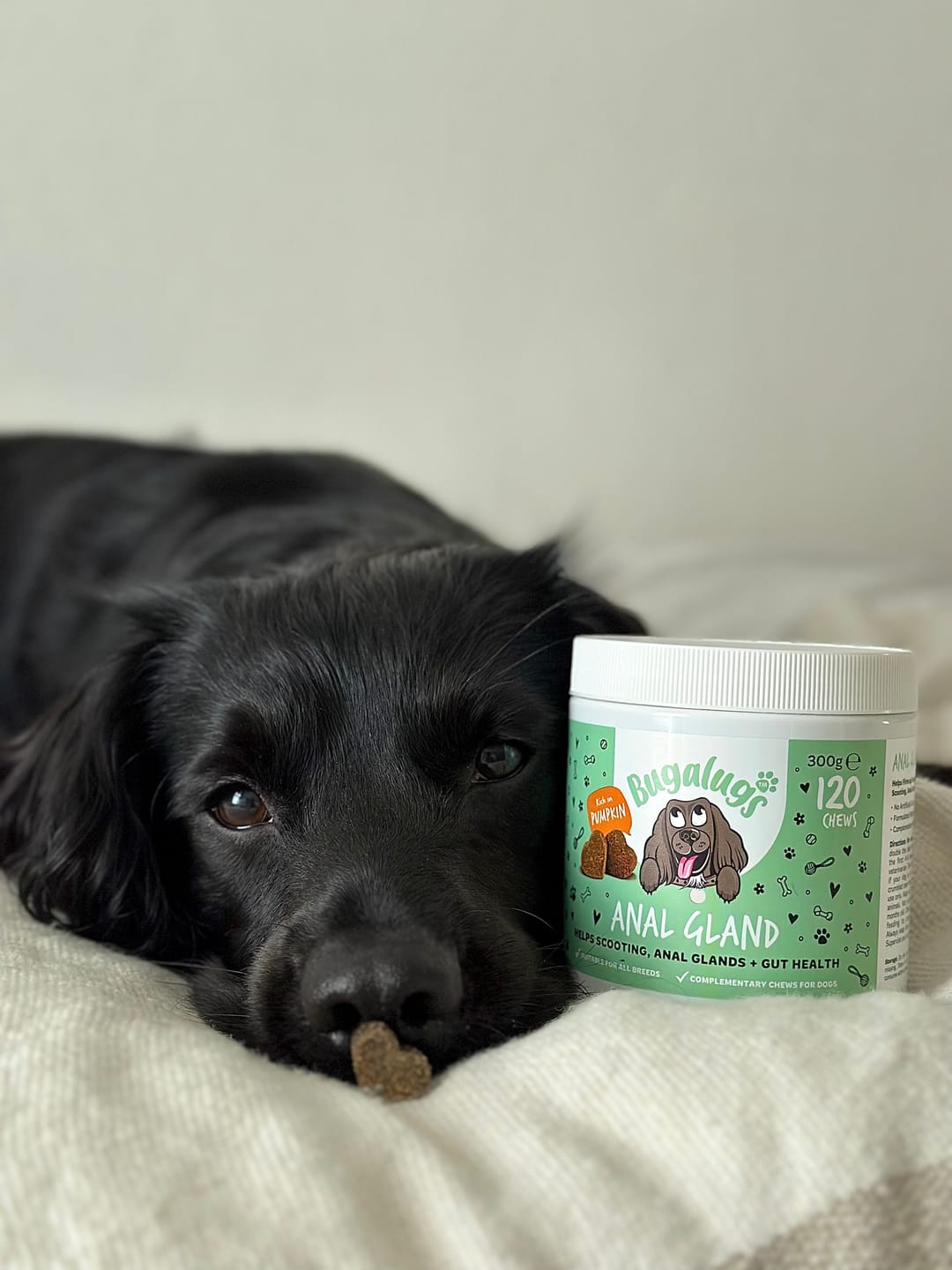 Customer photo review of Anal Gland Supplement Chews