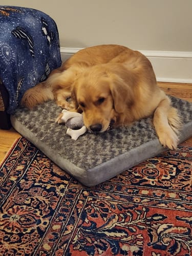 Customer photo review of Knuckleheads 2-in-1 Toy