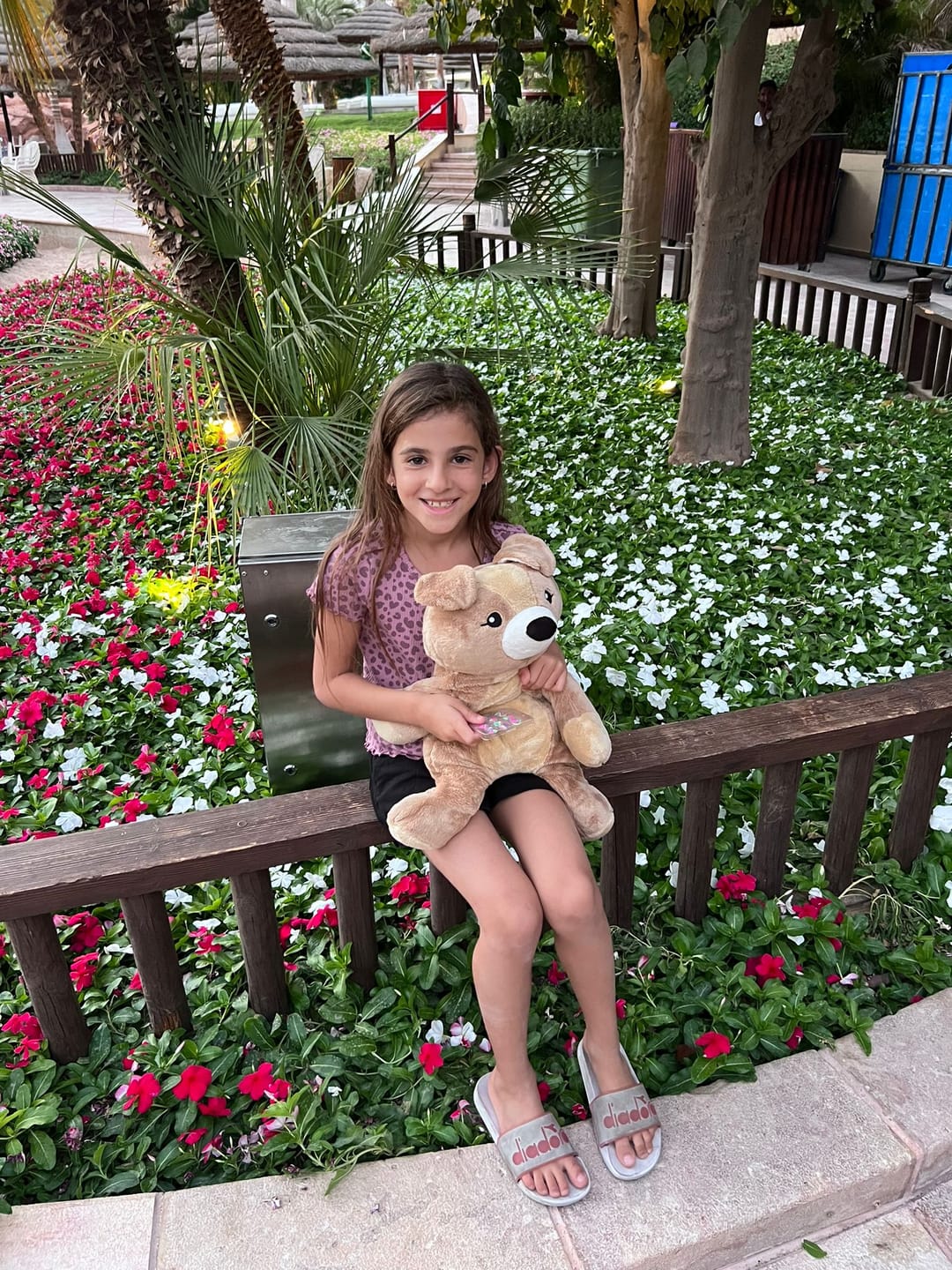 Customer photo review of Hugarounds - Sidney the Sea Turtle