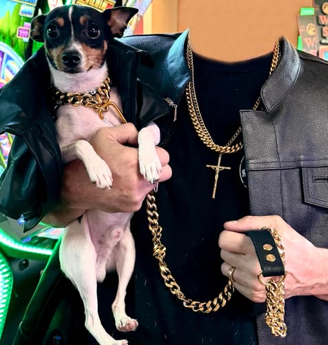 Customer photo review of Cuban Link Chain Dog Collar - Gold