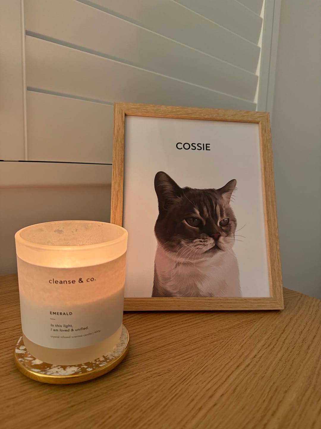 Customer photo review of 1 Pet