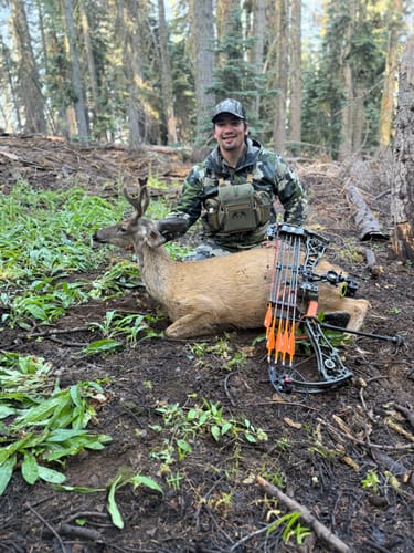 Customer photo review of Titanium Broadheads