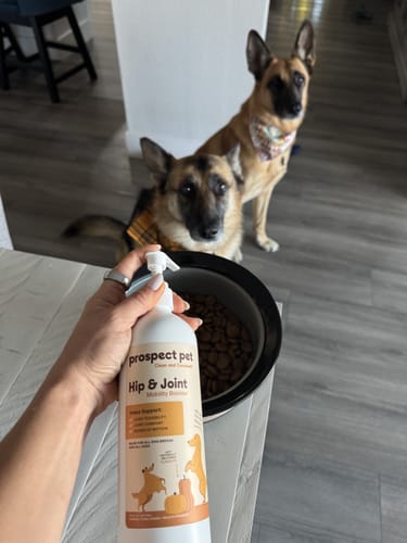 Customer photo review of Hip & Joint