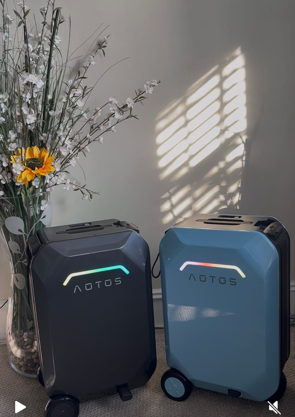 Customer photo review of AOTOS L2