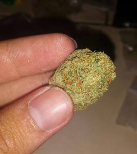 Melissa N. review of California Love THC-A Blüten image 1 out of 1