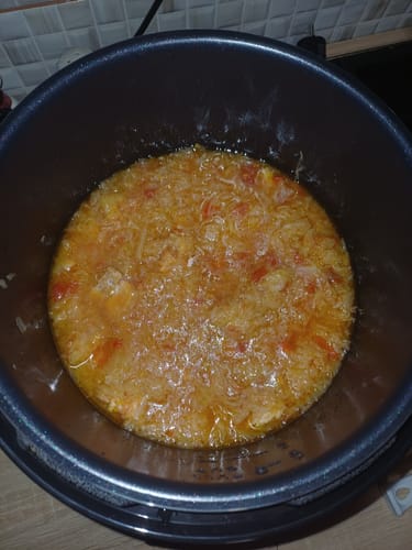 Customer photo review of Multicooker Novio EasyCook