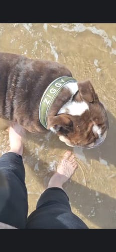 Scott C. review of Free Personalisation image 1 out of 2