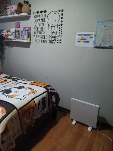 Customer photo review of Estufa Calefactor Eléctrico Kaltemp Wally One O 600 Wifi | 8 m2