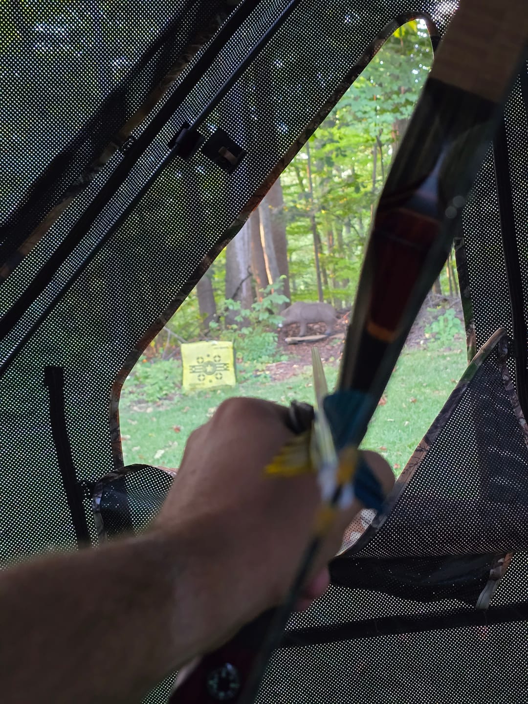 Customer photo review of Vis360 3-4 Person See Through Silent 4 Full Panels Deer Hunting Blind