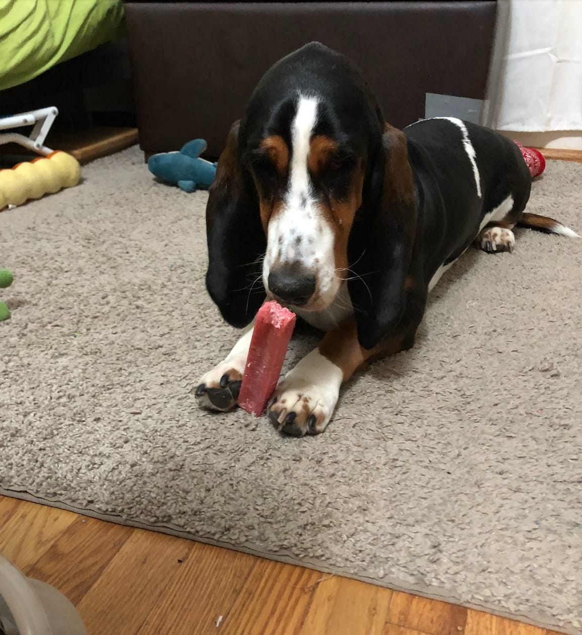 Customer photo review of Strawberry Himalayan Yak Chew (MEDIUM)