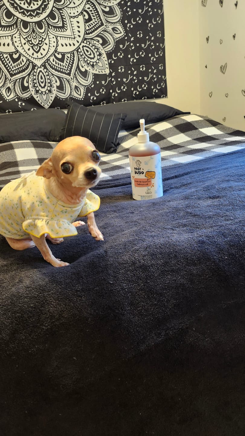 Customer photo review of Rosy & Budd - Huile de Saumon pour animaux (32oz)