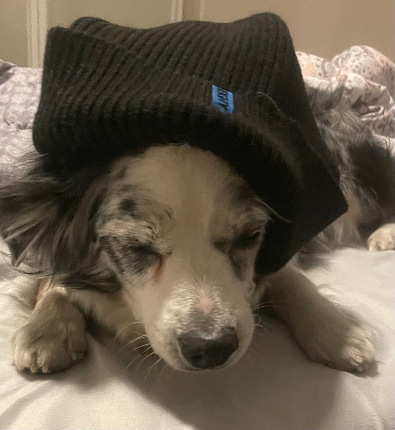 Customer photo review of 80eighty® Onyx Beanie