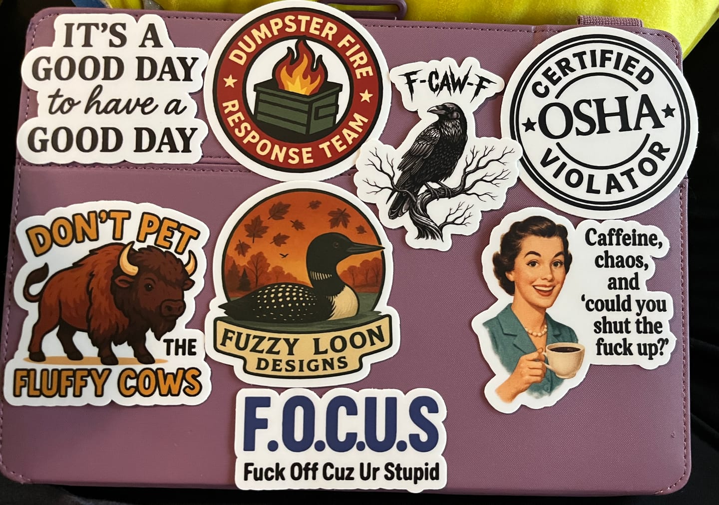 Customer photo review of STICKER CLUB | Monthly Sticker Subscription