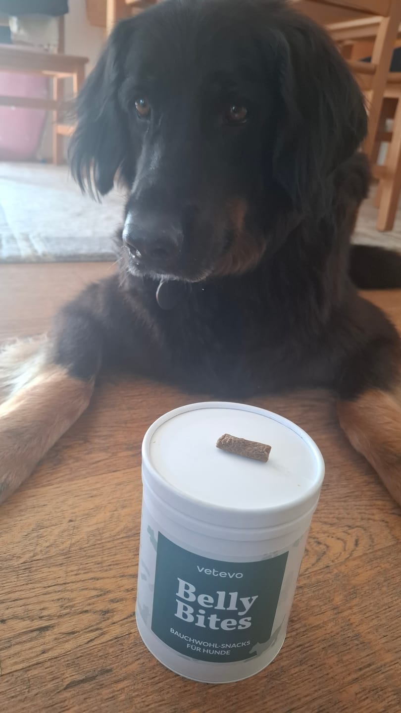 Customer photo review of Belly Bites