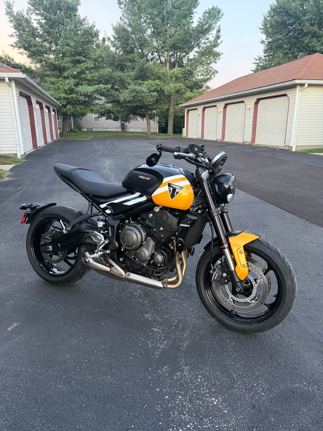 Customer photo review of Triumph Bar End Finishers & Mirror Kits - 7/8” Handlebar Triumph Models