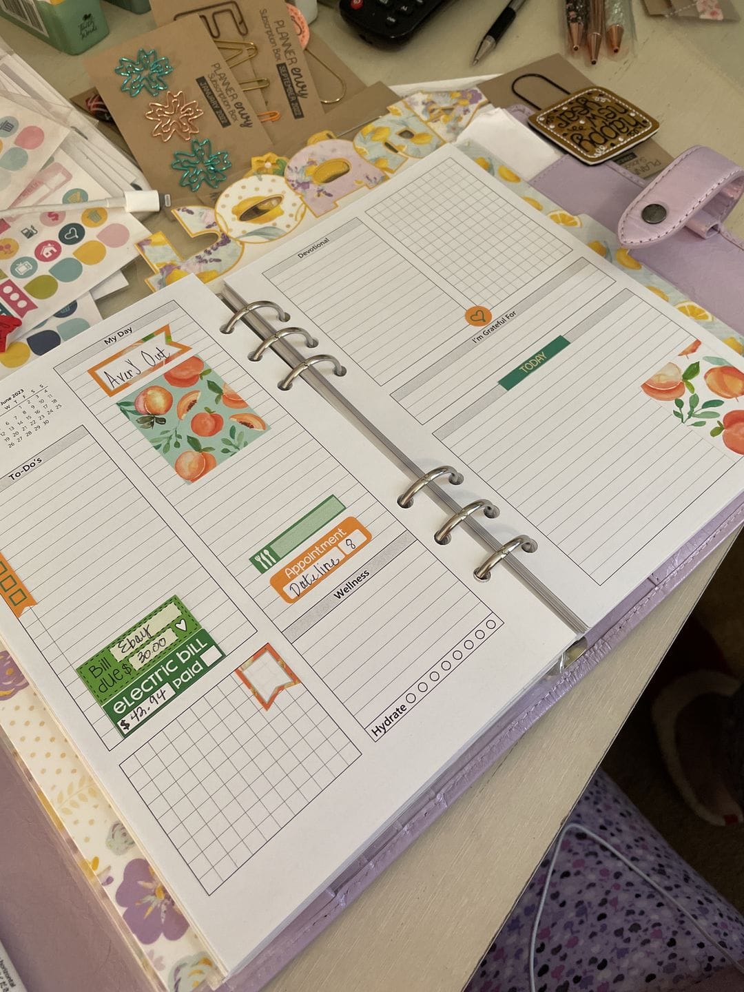 Customer photo review of Planner Sticker & Accessory Subscription + 2 Sets Washi/Month - #SUB003 - Sign up by the 20th to get the next box!