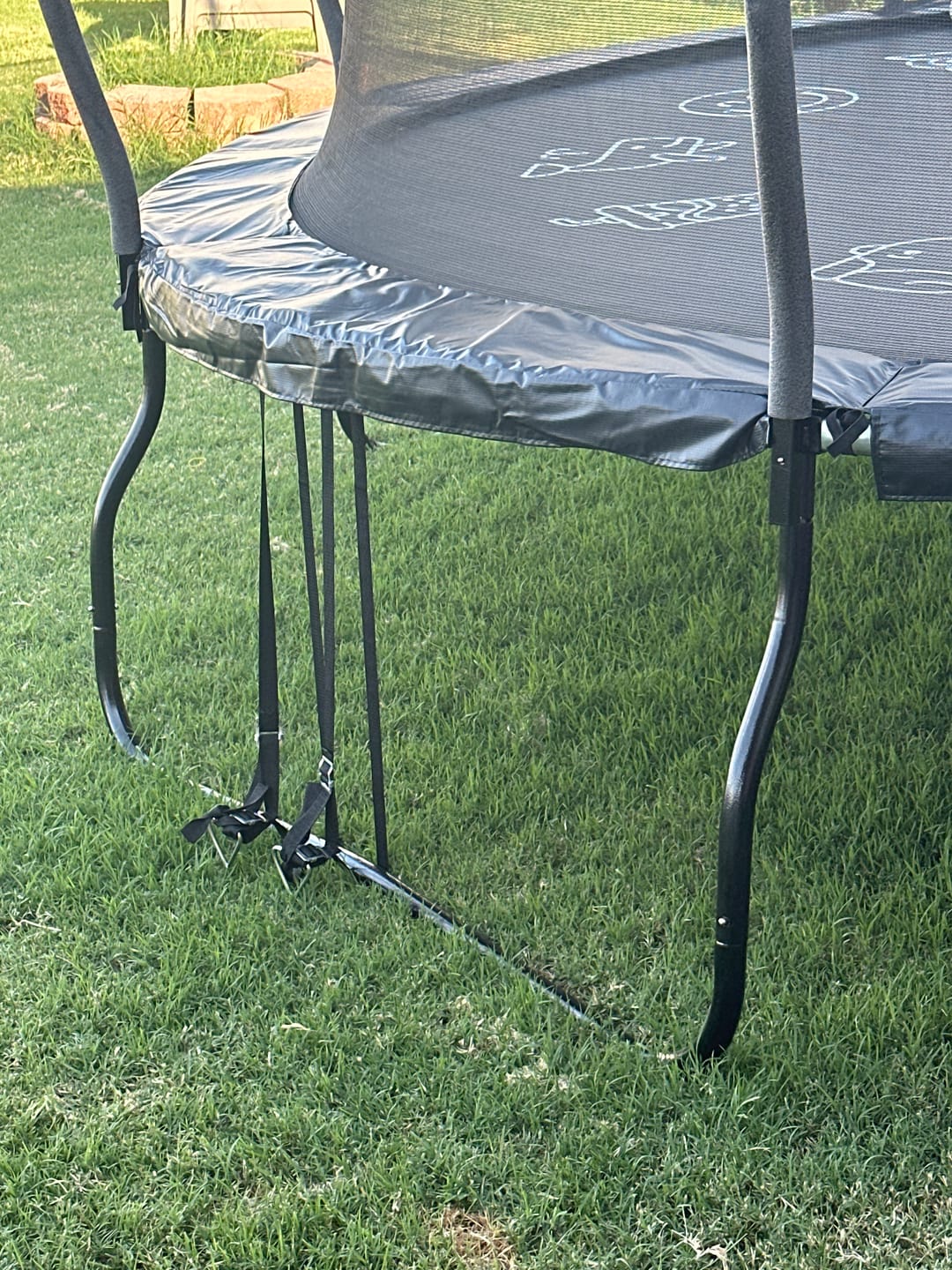 Customer photo review of Spiral S-Shaped Stakes 6-Pack with Heavy-Duty Webbing Straps