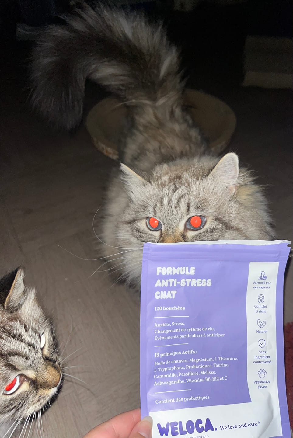 Customer photo review of Complément anti-stress  | Chat