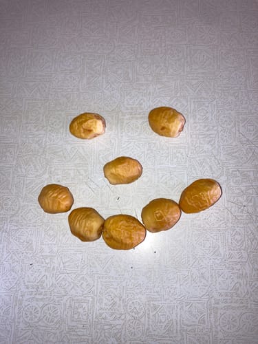 Customer photo review of Organic Yellow Barhi Dates (Khalal Barhi Dates)