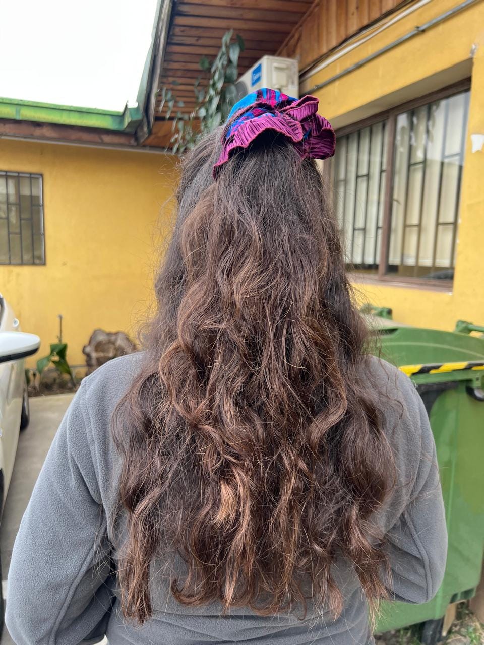 Customer photo review of Tinte 100% Natural Hamsa Herbal (Tono Castaño)
