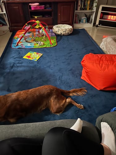 Customer photo review of The Mellow Mat® v2 (Soft Touch Sensory Tatami Rug)
