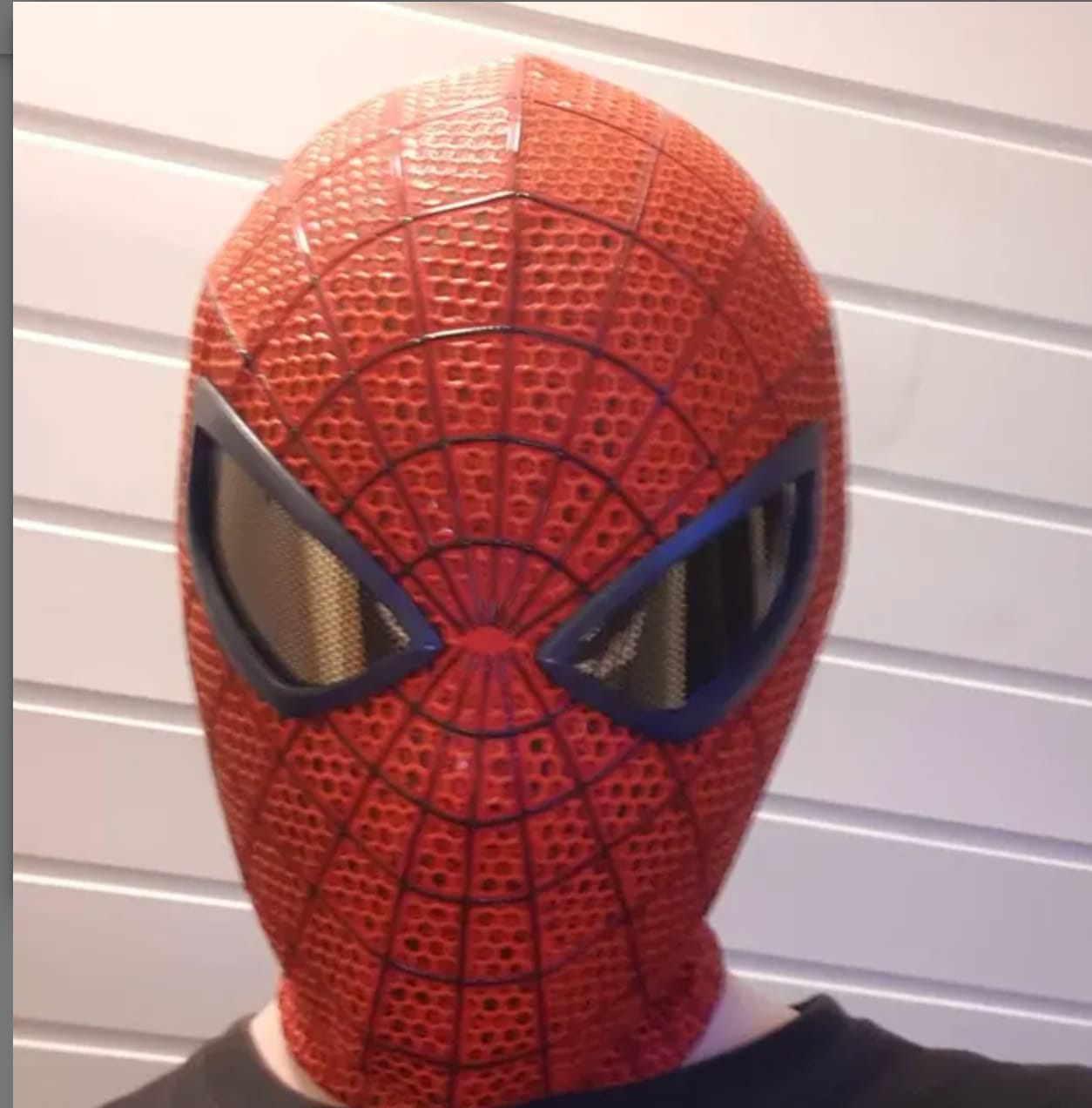 Customer photo review of The Amazing Spider-Man Life Size Wearable Mask