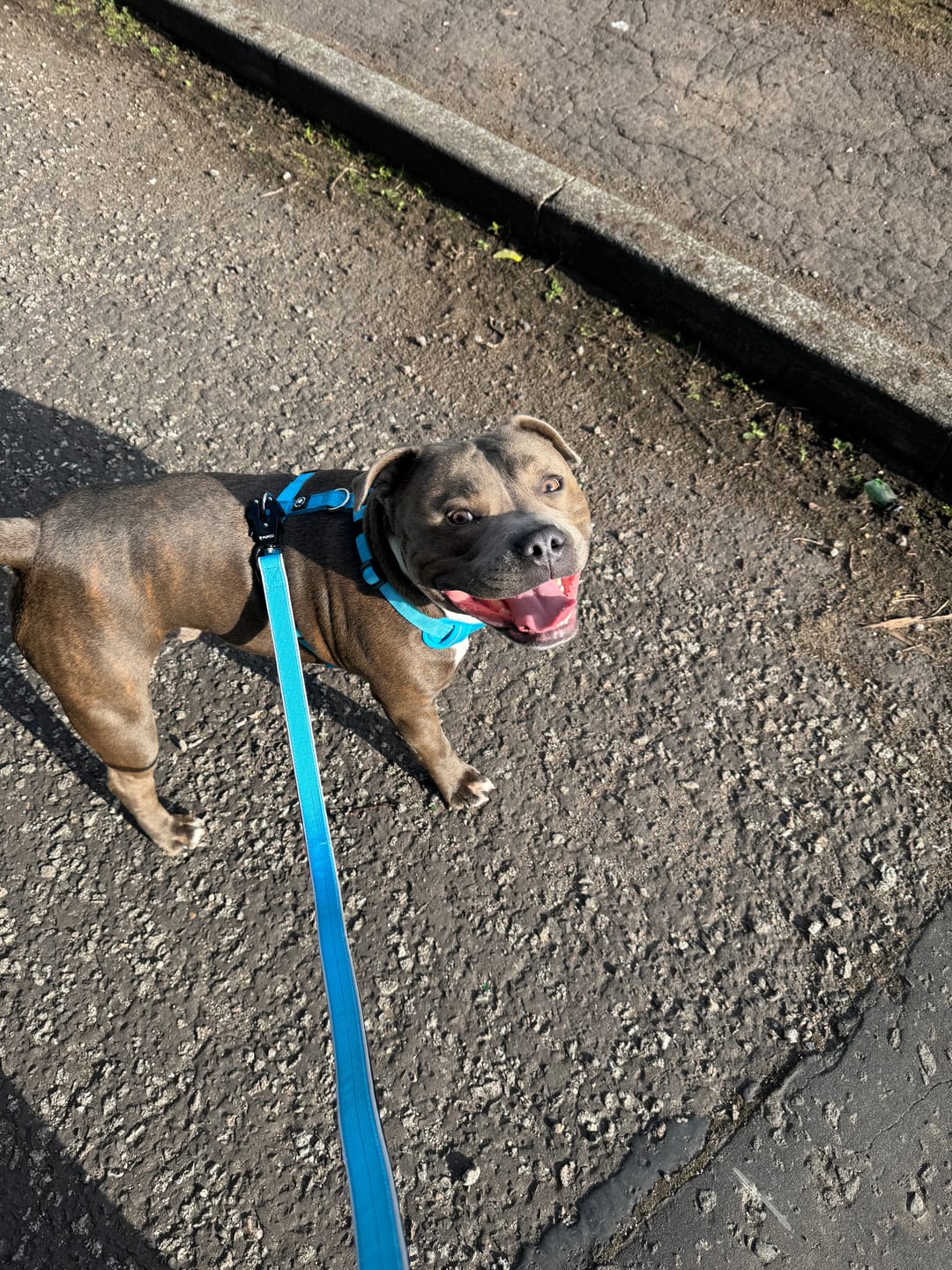 Customer photo review of Lunar Harness - Aqua