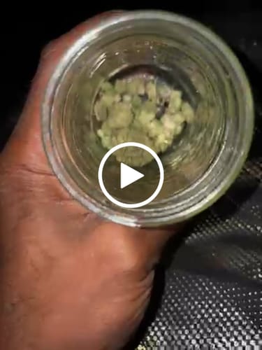 Customer video review of Alien OG - 4 Grams (Indica)