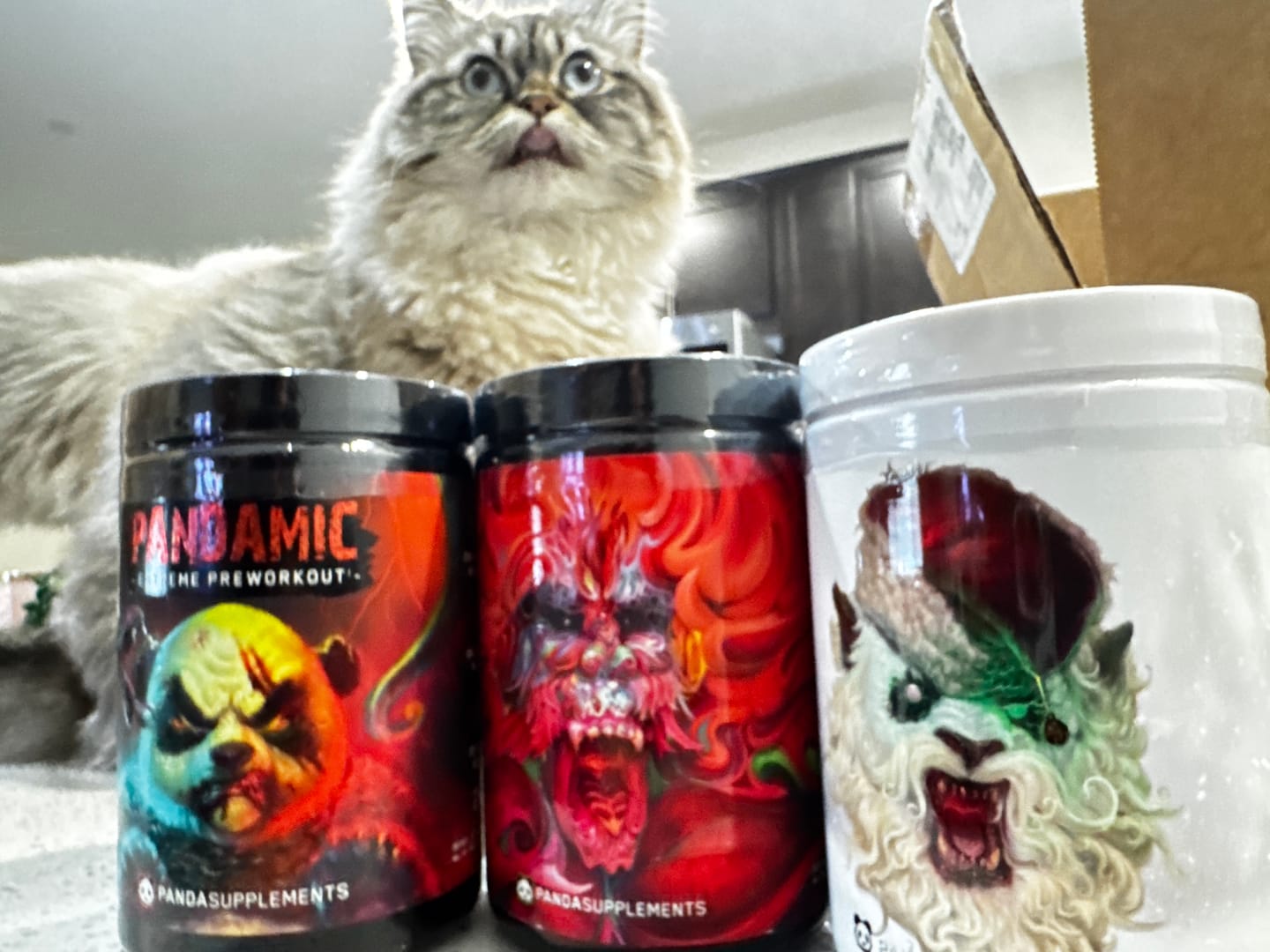 Customer photo review of RAMPAGE - EXTREME PRE-WORKOUT