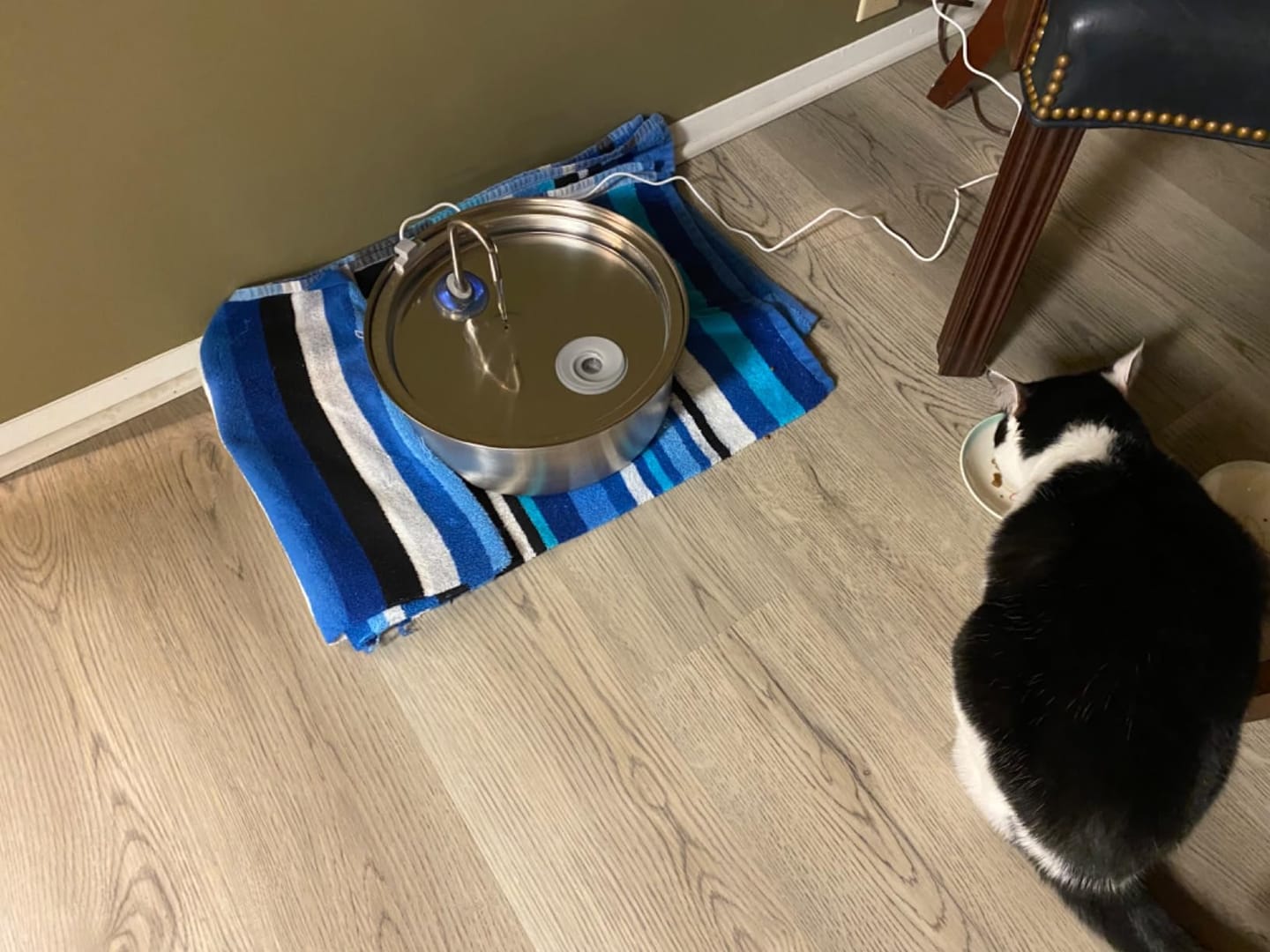 Customer photo review of Oneisall 7L Pet Water Fountain with Visual Water Level & 3 Filters