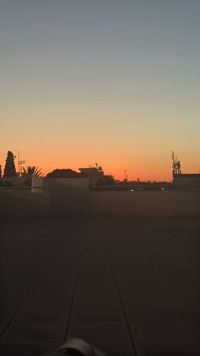 Teighan T. review of Japan Sakura Virtual Challenge image 1 out of 3