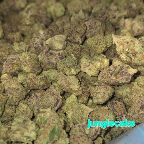 Customer photo review of Jungle Cake - Greenhouse THCA (Smalls)