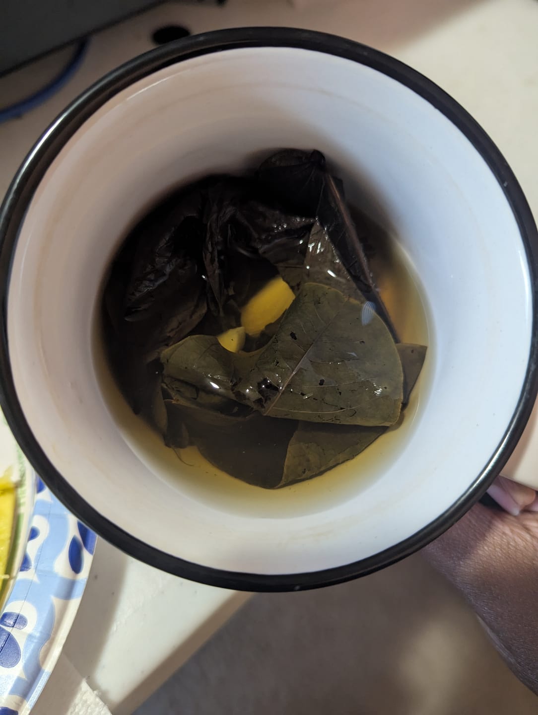 Customer photo review of Cassia Alata Leaf