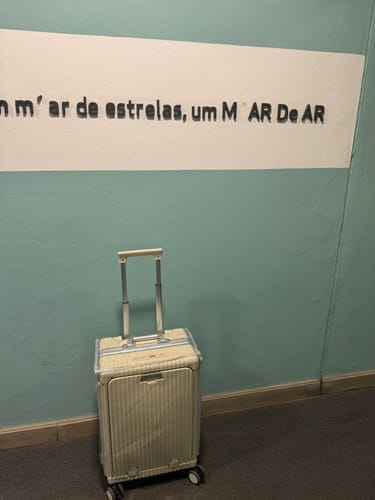 Customer photo review of Luggage Cover