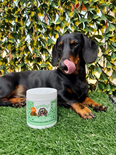 Customer photo review of Anal Gland Supplement Chews